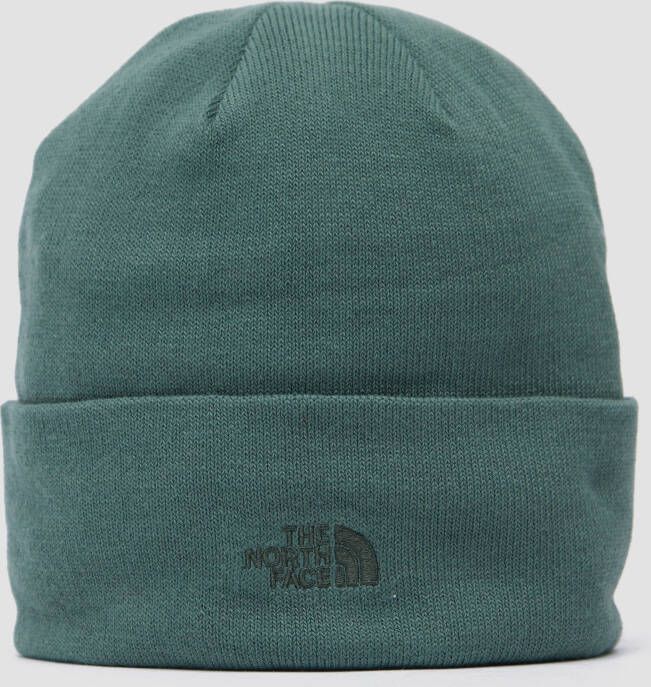 The North Face norm skimuts groen