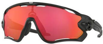 OAKLEY FietsJawbreaker Prizm sportbril, Unisex (dames / heren), Sportbril, Fiets