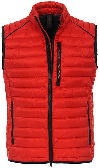 Raps Voltage V6 Klap / Vast Dames Klapschaats