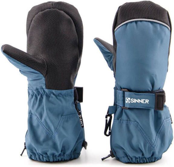 Sinner Skihandschoenen